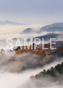 岡泰行__08_備中松山城（岡山県）