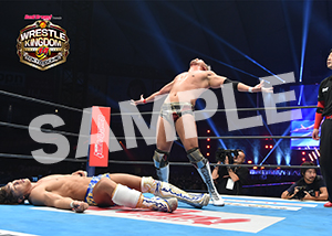 NJPW__0104　第8試合　28