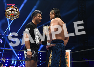 NJPW__0105　第5試合　08