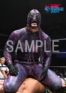 DRAGONGATE__KOBEPRO-WRESTLINGFESTIVAL_25