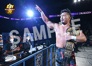 G1 CLIMAX 31__A033