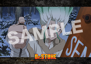 Dr Stone 2期第2話12