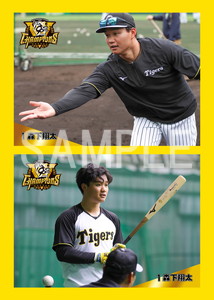 阪神タイガース 森下翔太 ブラックダイナマイトシリーズ プロコレ 2XO 才木浩人 スポーツ＆アウトドア 阪神タイガース 森下翔太
