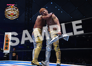 NJPW__0105　第2試合　06