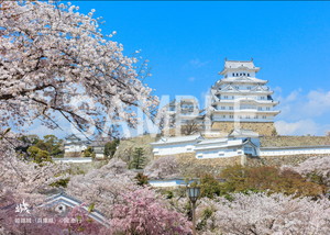 岡泰行__01_姫路城（兵庫県）