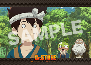 Dr Stone 第13話08