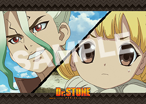 Dr Stone 第13話19