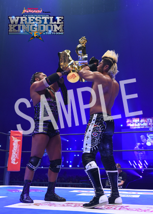 NJPW__IWGPtag 12