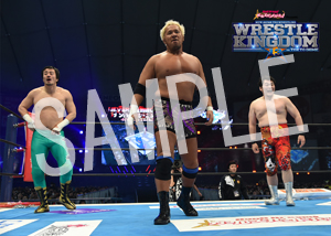 NJPW__NEVER6 06