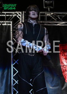 DRAGONGATE__THE GATE OF DESTINY 2024_11