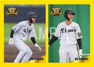 阪神タイガース 小幡竜平 ユニフォーム Oサイズ Amazon.co.jp: 小幡竜平 伝統の一戦 2023 ユニフォーム 阪神