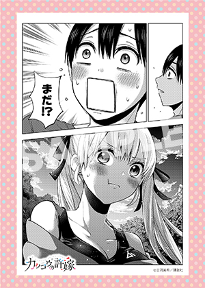 カッコウの許嫁 15 2l