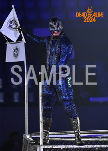 DRAGONGATE__DEADorALIVE2024_18