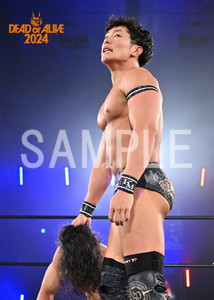DRAGONGATE__DEADorALIVE2024_06