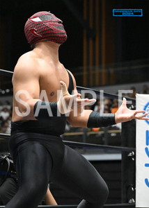 DRAGONGATE__DANGEROUS GATE 2024_16