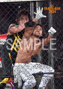 DRAGONGATE__DEADorALIVE2024_21