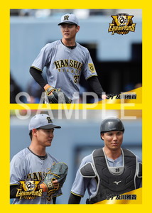 阪神タイガース 完売品 優勝記念 2025 阪神タイガースJERAセントラルリーグ優勝記念6駅入場券
