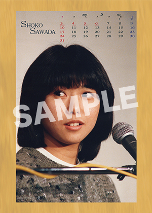 沢田聖子 年5月c L