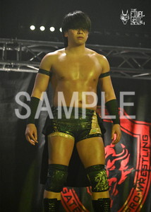 DRAGONGATE__THE FINAL GATE 2024_15