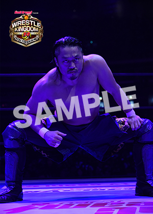 NJPW__0105　第5試合　05