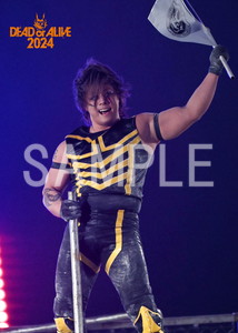 DRAGONGATE__DEADorALIVE2024_23