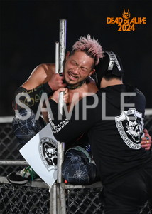 DRAGONGATE__DEADorALIVE2024_20