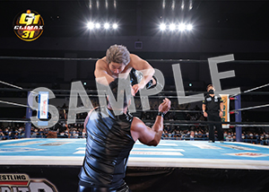 G1 CLIMAX 31__A090