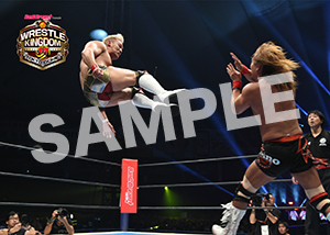 NJPW__0105　第8試合　04