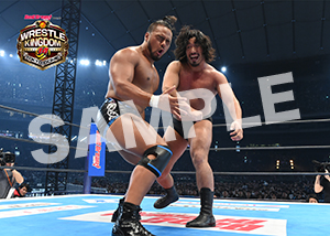 NJPW__0104　第0-1試合　08