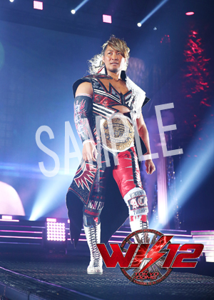 Njpw 棚橋 弘至 10