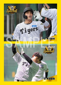 阪神優勝2025__木浪聖也02 ステッカー