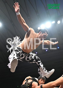 DRAGONGATE__THE GATE OF DESTINY 2024_34