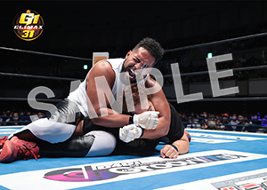 G1 CLIMAX 31__A086