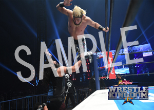 NJPW__IWGPtag 03