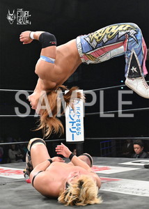 DRAGONGATE__THE FINAL GATE 2024_05