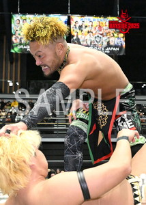 DRAGONGATE__THE GATE OF BAYSIDE 2025_01