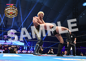 NJPW__0105　第3試合　02