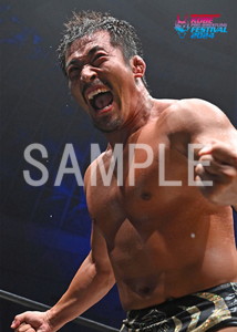 DRAGONGATE__KOBEPRO-WRESTLINGFESTIVAL_45