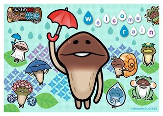 なめこ キャラクターブロマイド M 6月新デザイン