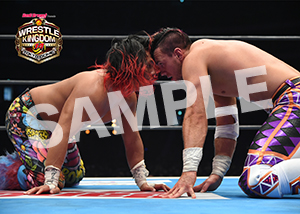 NJPW__0104　第6試合　21