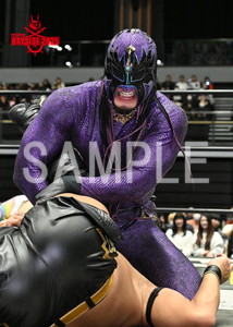 DRAGONGATE__THE GATE OF BAYSIDE 2025_06