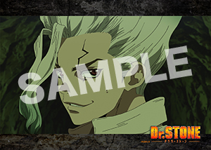 Dr Stone 2期第8話10