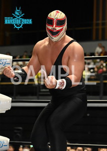 DRAGONGATE__THEGATEOFBAYSIDE2024_19