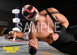 DRAGONGATE__MEMORIALGATE2024_25