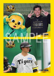 阪神優勝2025__森下翔太01 ステッカー