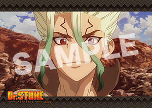 Dr Stone 第12話19