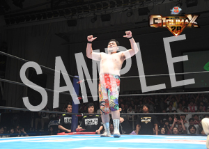 NJPW__G1 矢野 通 06