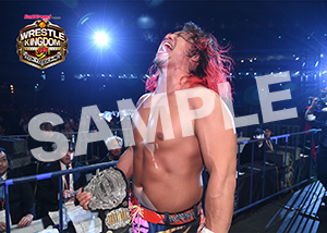 NJPW__0104　第6試合　29