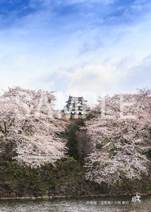 岡泰行__18_彦根城（滋賀県）