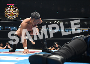 NJPW__0105　第5試合　21